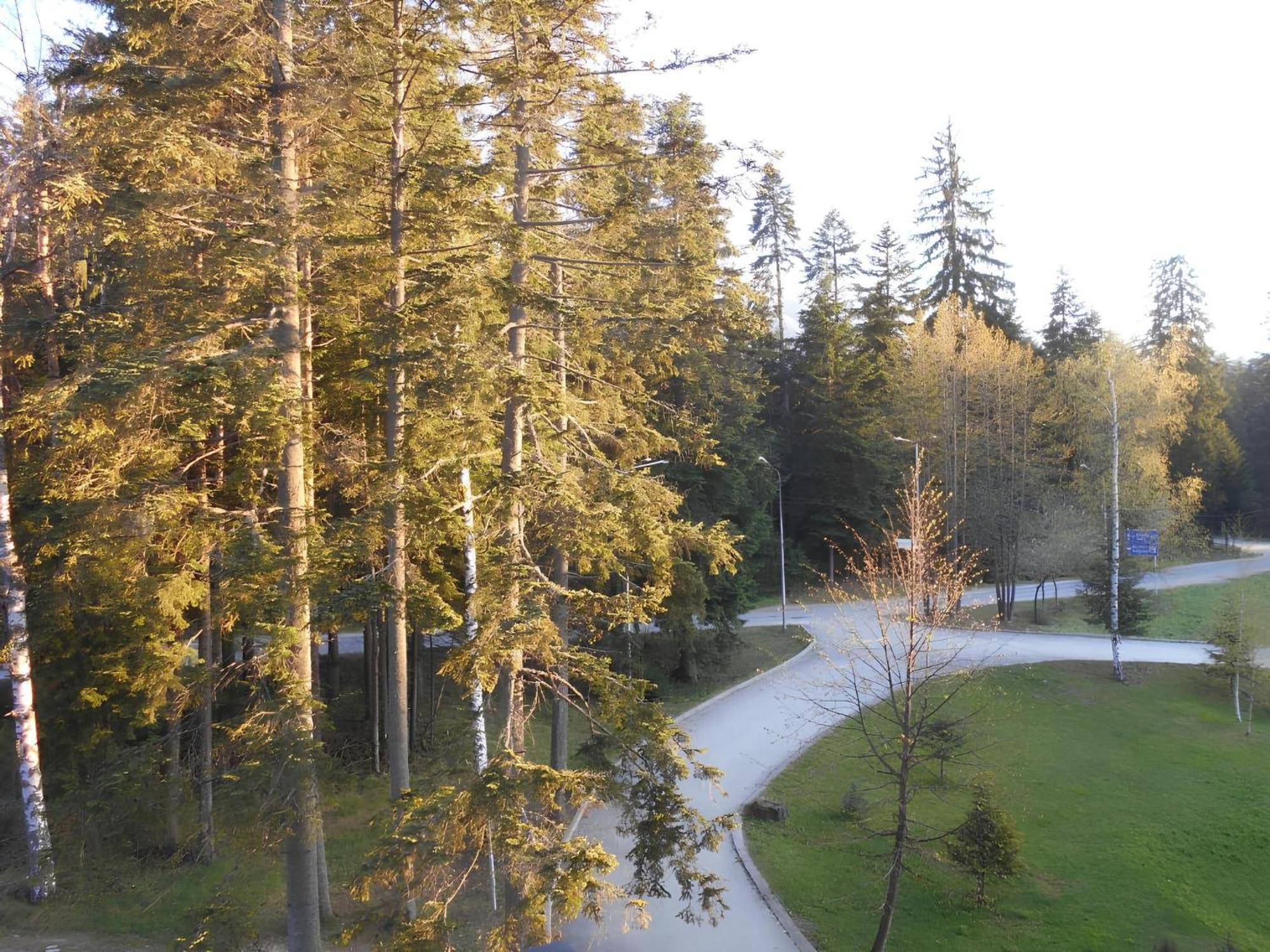 Neat Studios In "Borovets Gardens" Hotel Exterior foto